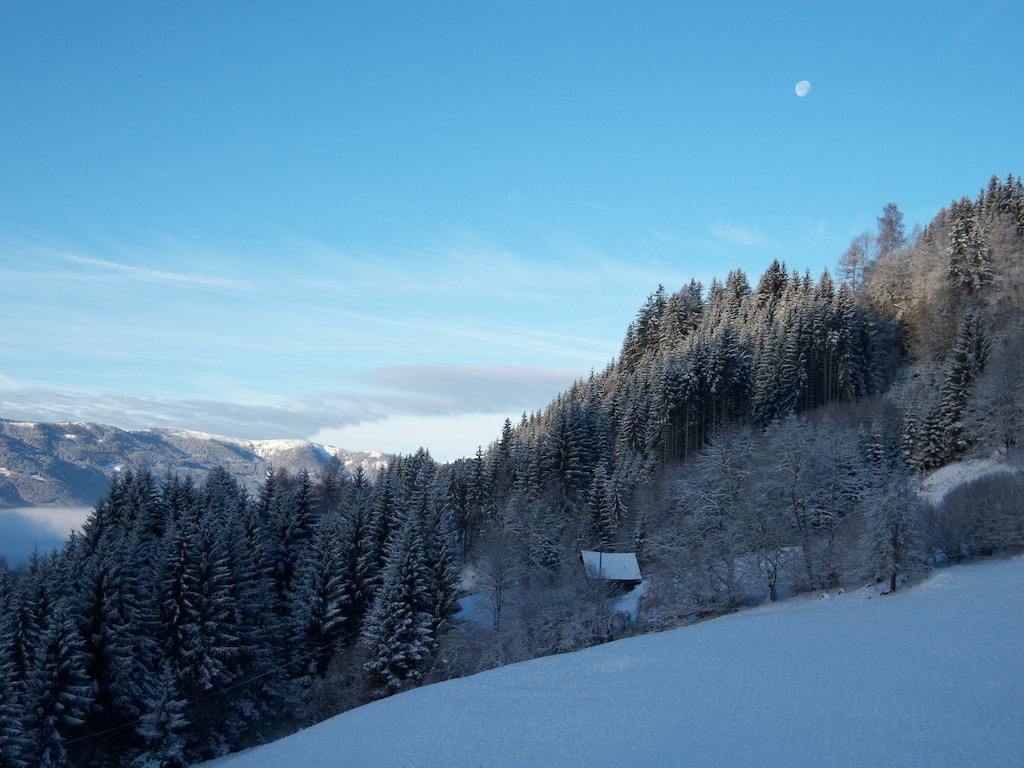 Grundnerhof Villa Arriach Esterno foto