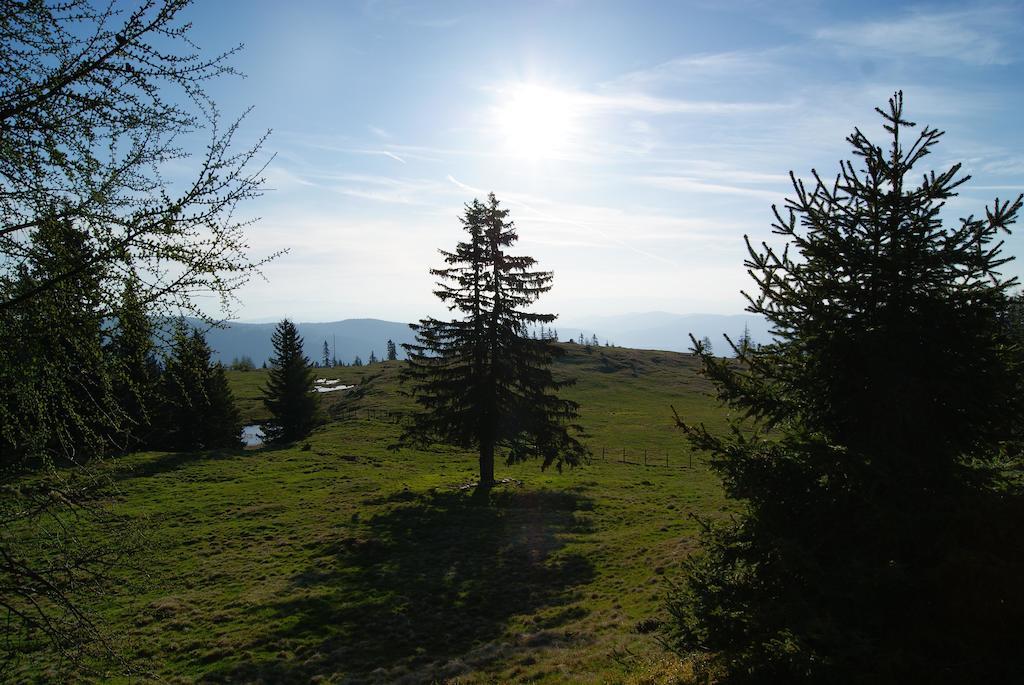 Grundnerhof Villa Arriach Esterno foto